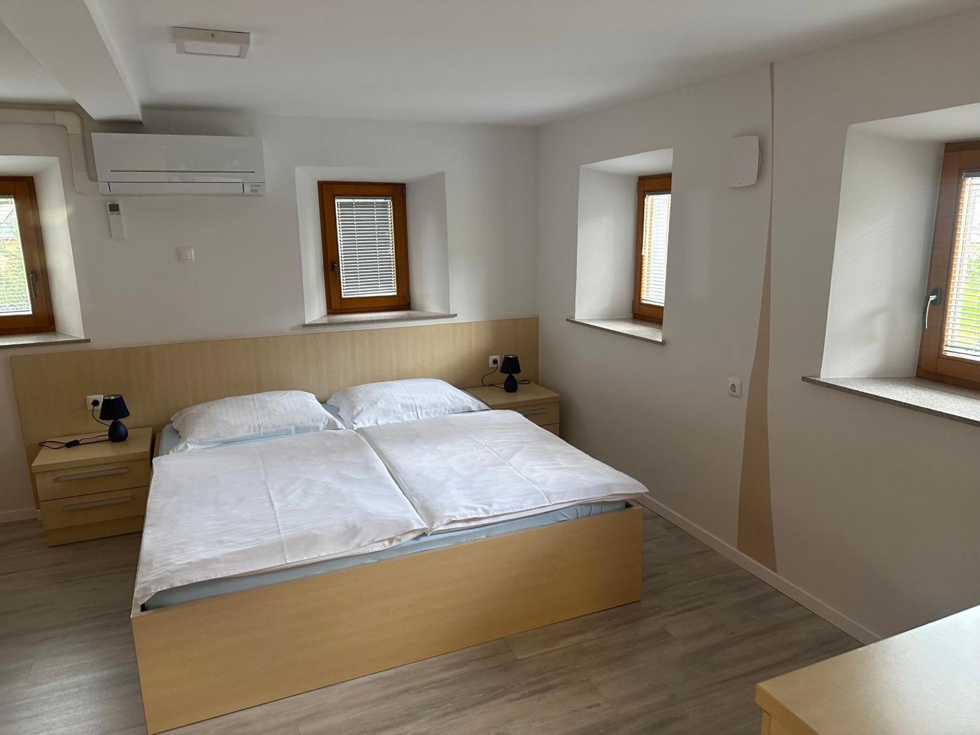 Domacija Vodnik & Apartments 戈雷尼斯卡地区采尔克列 外观 照片
