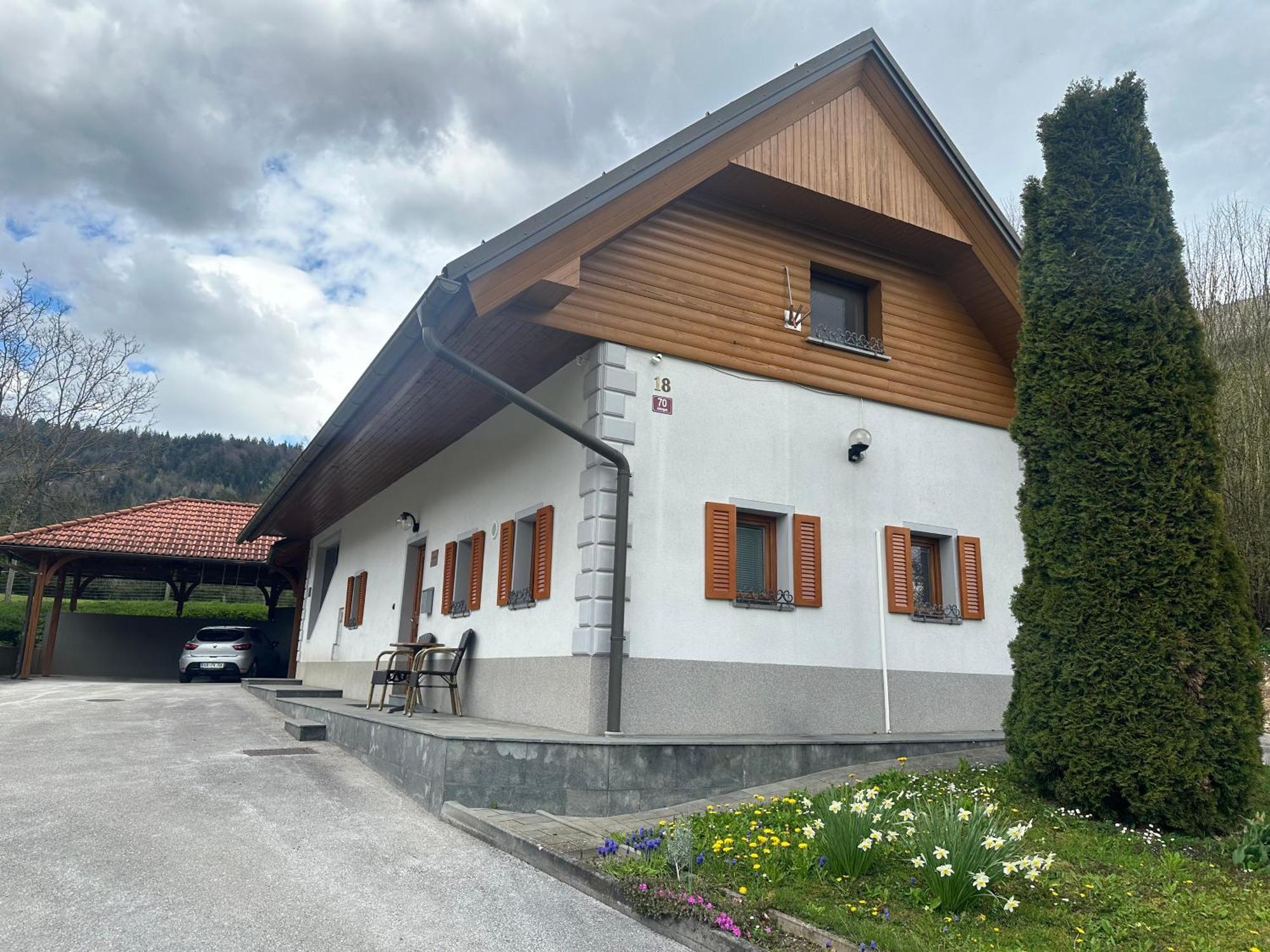 Domacija Vodnik & Apartments 戈雷尼斯卡地区采尔克列 外观 照片