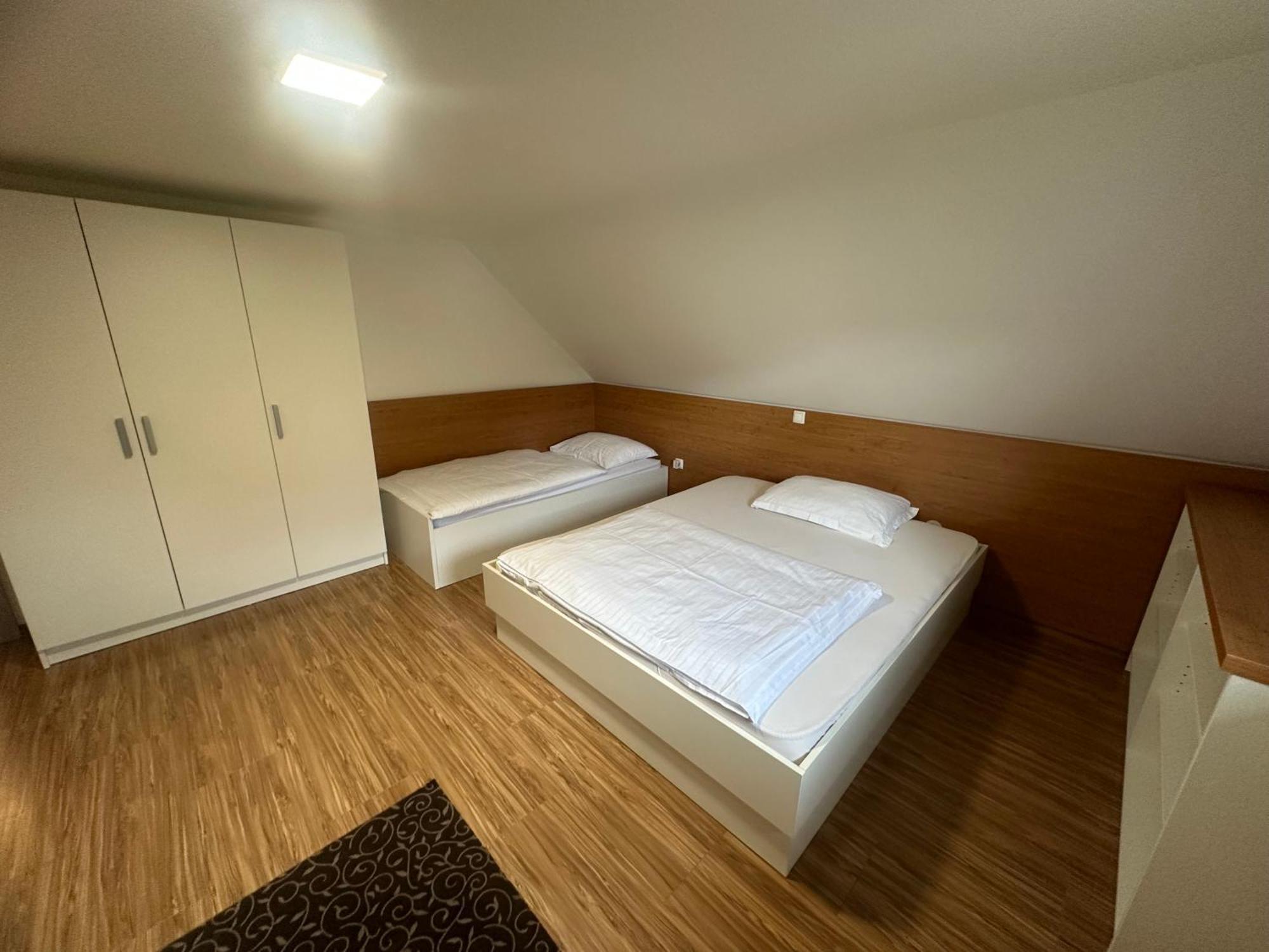 Domacija Vodnik & Apartments 戈雷尼斯卡地区采尔克列 外观 照片