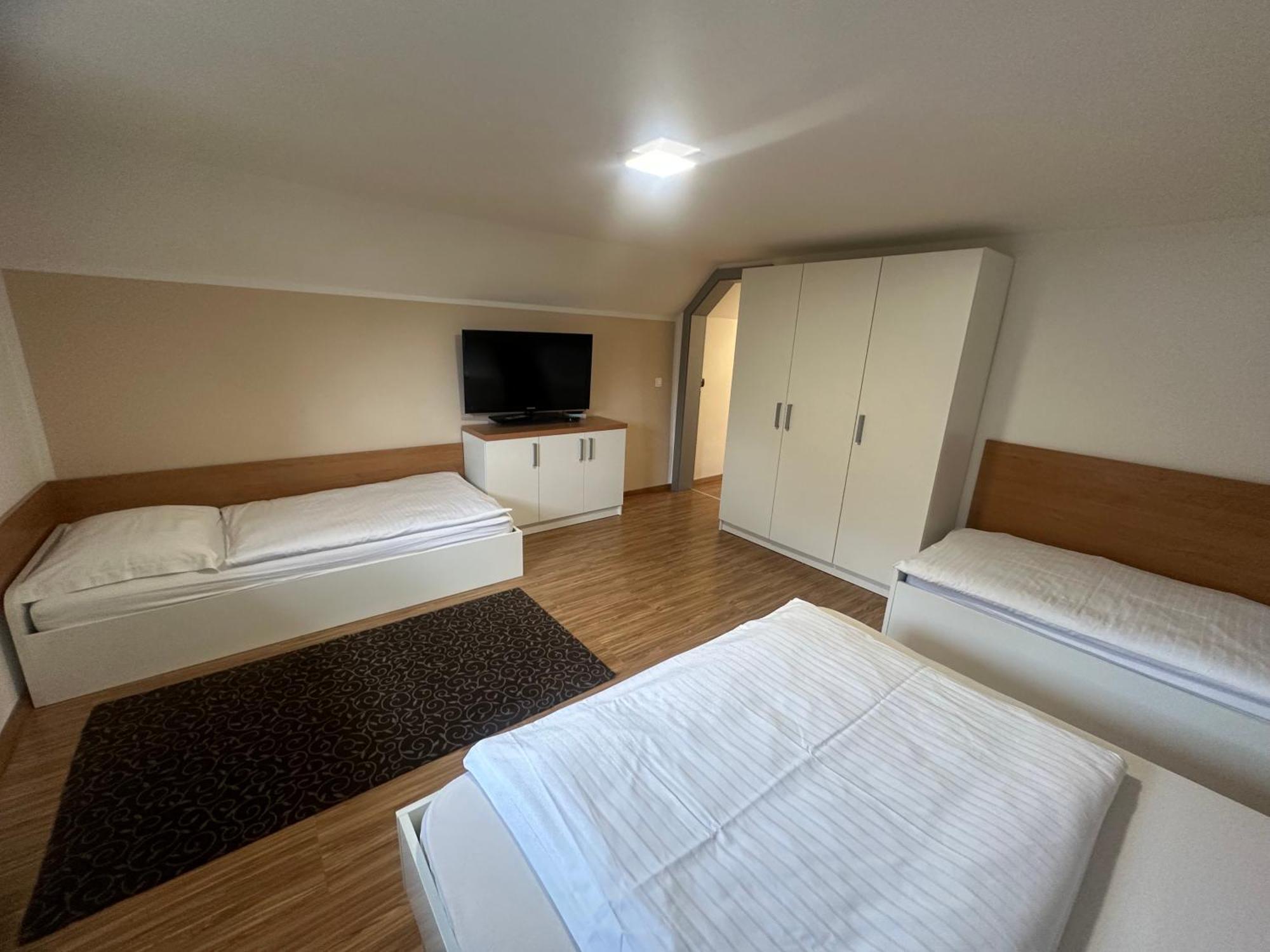 Domacija Vodnik & Apartments 戈雷尼斯卡地区采尔克列 外观 照片